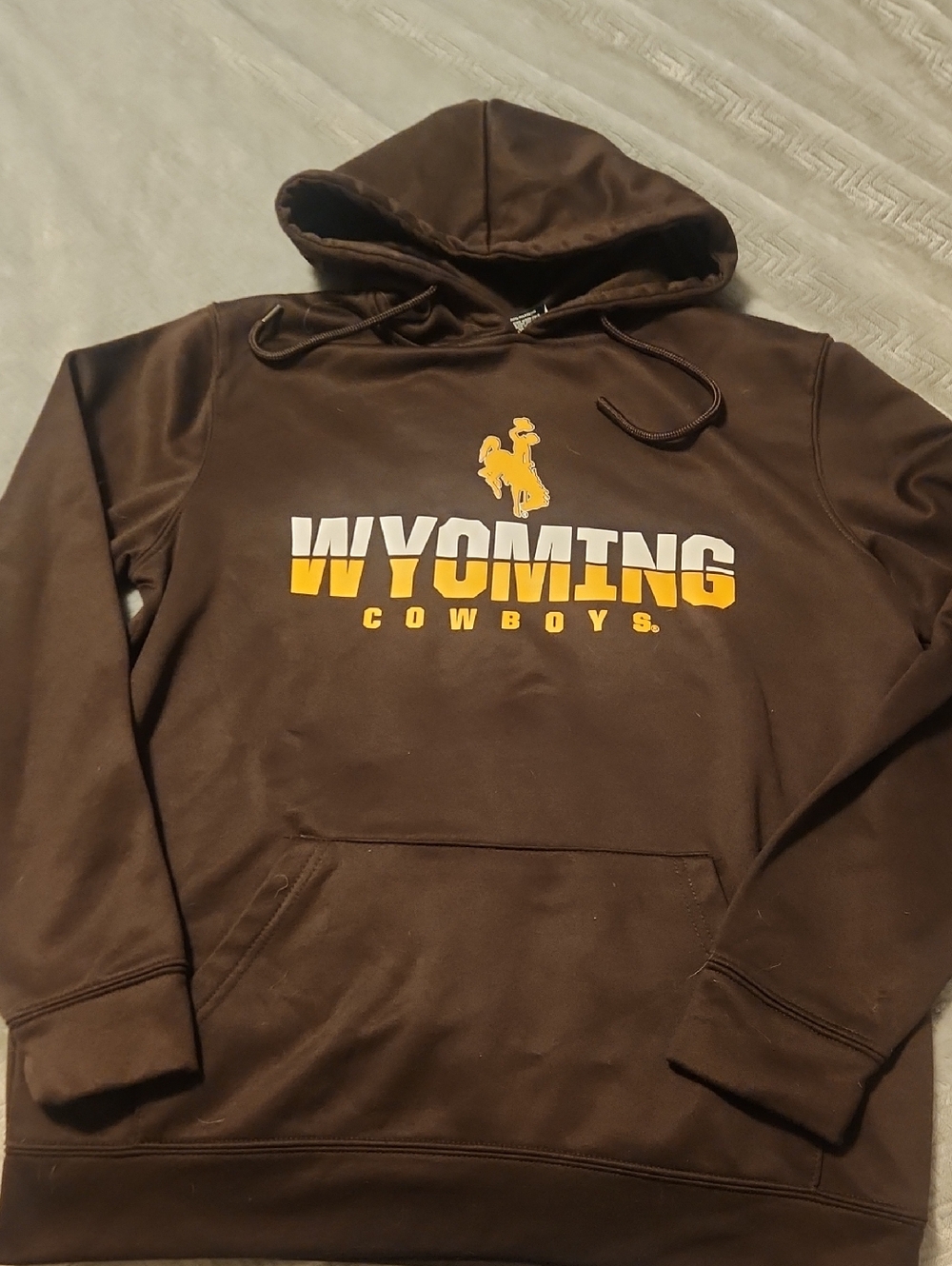 Champion Wyoming Cowboys Brown Hoodie with Yellow and White Logo